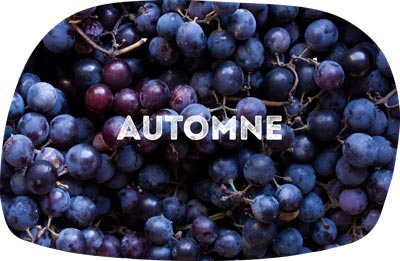 raisins automne