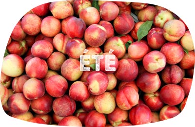 fruits été