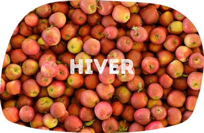 pomme hiver